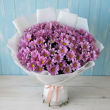 Букет цветов из:  Хризантемы в Андреевке