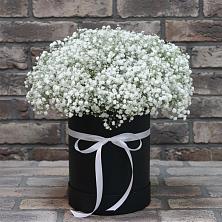 Цветочная композиция из Гипсофила в шляпной коробке в Андреевке